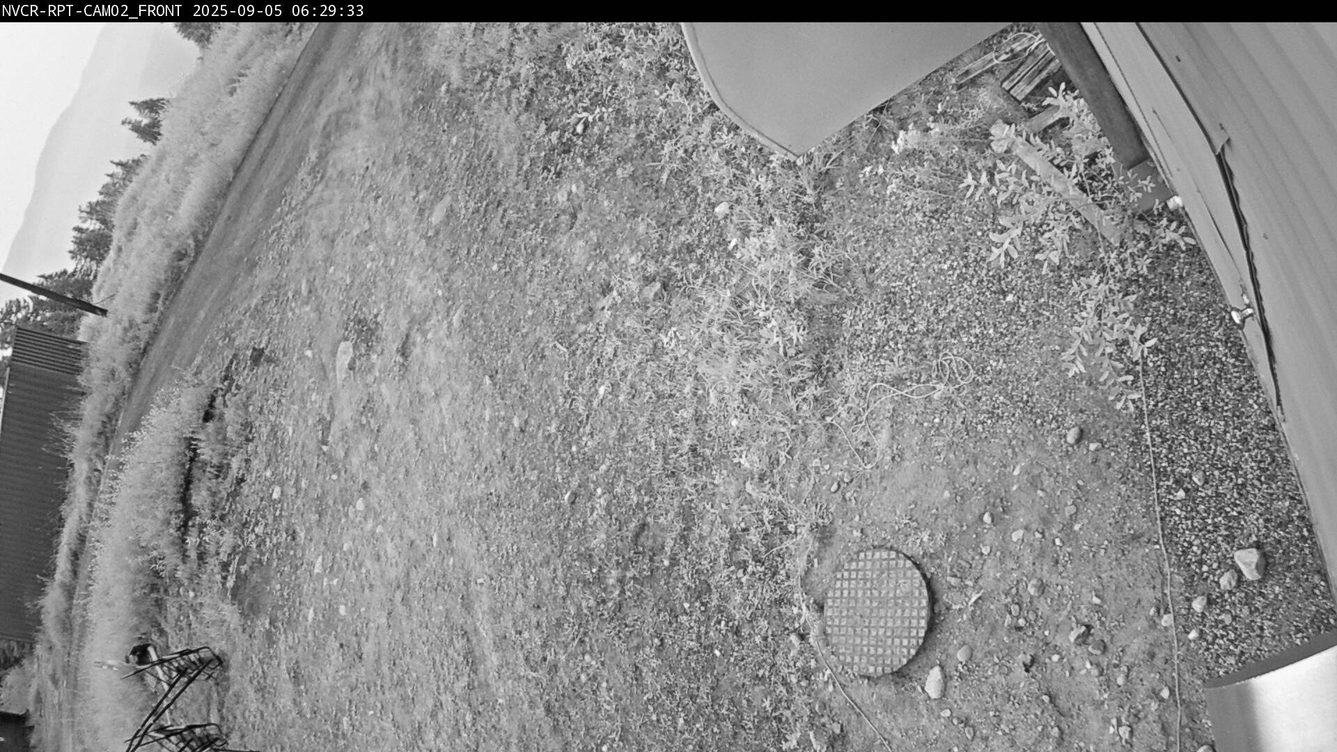 Web Cam History Image - 597