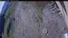 Web Cam Image - Mon, 06/01/2026 8:14am PDT