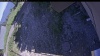 Web Cam Image - Mon, 07/06/2026 3:39pm PDT