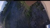 Web Cam Image - Tue, 07/07/2026 4:49am PDT