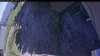 Web Cam Image - Mon, 07/06/2026 3:34pm PDT