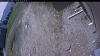 Web Cam Image - Thu, 05/21/2026 10:49am PDT