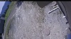 Web Cam Image - Tue, 05/12/2026 10:44am PDT