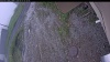 Web Cam Image - Sun, 06/07/2026 8:19am PDT