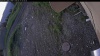 Web Cam Image - Thu, 06/11/2026 3:44am PDT