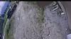 Web Cam Image - Wed, 06/17/2026 10:24am PDT