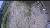 Web Cam Image - Tue, 06/23/2026 10:29am PDT