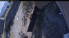 Web Cam Image - Mon, 10/05/2026 12:24pm PDT
