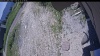 Web Cam Image - Mon, 06/22/2026 9:59am PDT