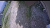 Web Cam Image - Sun, 07/05/2026 1:09pm PDT