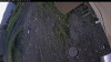 Web Cam Image - Thu, 06/11/2026 3:34am PDT