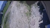 Web Cam Image - Mon, 06/22/2026 9:55am PDT