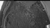 Web Cam Image - Thu, 06/11/2026 3:29am PDT