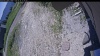 Web Cam Image - Thu, 06/18/2026 11:14am PDT