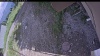 Web Cam Image - Sat, 06/27/2026 3:29pm PDT