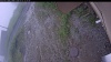 Web Cam Image - Thu, 07/02/2026 11:04am PDT