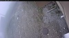 Web Cam Image - Wed, 05/13/2026 12:54pm PDT