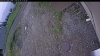 Web Cam Image - Mon, 06/08/2026 10:54am PDT