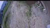 Web Cam Image - Tue, 06/23/2026 10:09am PDT