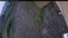 Web Cam Image - Sun, 06/28/2026 3:54am PDT