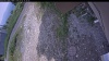 Web Cam Image - Sun, 07/05/2026 12:54pm PDT