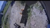 Web Cam Image - Fri, 07/31/2026 11:19am PDT