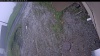 Web Cam Image - Sat, 06/06/2026 6:29am PDT