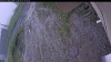 Web Cam Image - Sun, 06/07/2026 7:54am PDT