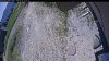Web Cam Image - Thu, 06/18/2026 11:04am PDT