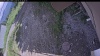 Web Cam Image - Sat, 06/27/2026 3:19pm PDT