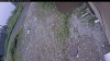 Web Cam Image - Fri, 07/03/2026 10:49am PDT