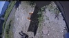 Web Cam Image - Fri, 07/31/2026 11:14am PDT