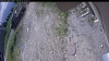 Web Cam Image - Wed, 06/17/2026 9:54am PDT