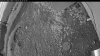 Web Cam Image - Sun, 06/28/2026 3:44am PDT