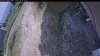 Web Cam Image - Sun, 07/05/2026 12:45pm PDT