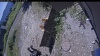 Web Cam Image - Fri, 07/31/2026 11:09am PDT