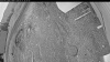 Web Cam Image - Mon, 05/11/2026 7:19pm PDT