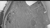 Web Cam Image - Thu, 05/14/2026 3:59am PDT