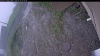 Web Cam Image - Sun, 06/07/2026 7:44am PDT