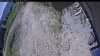 Web Cam Image - Thu, 06/18/2026 10:54am PDT