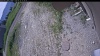 Web Cam Image - Tue, 06/23/2026 9:54am PDT