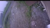 Web Cam Image - Mon, 06/29/2026 4:24am PDT