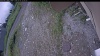 Web Cam Image - Fri, 07/03/2026 10:39am PDT