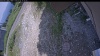 Web Cam Image - Sun, 07/05/2026 12:39pm PDT