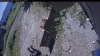 Web Cam Image - Fri, 07/31/2026 11:04am PDT