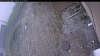 Web Cam Image - Wed, 05/13/2026 12:34pm PDT