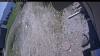 Web Cam Image - Thu, 05/28/2026 11:39am PDT