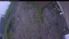 Web Cam Image - Fri, 06/05/2026 5:09am PDT