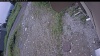 Web Cam Image - Fri, 07/03/2026 10:29am PDT