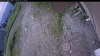 Web Cam Image - Sat, 07/04/2026 11:19am PDT